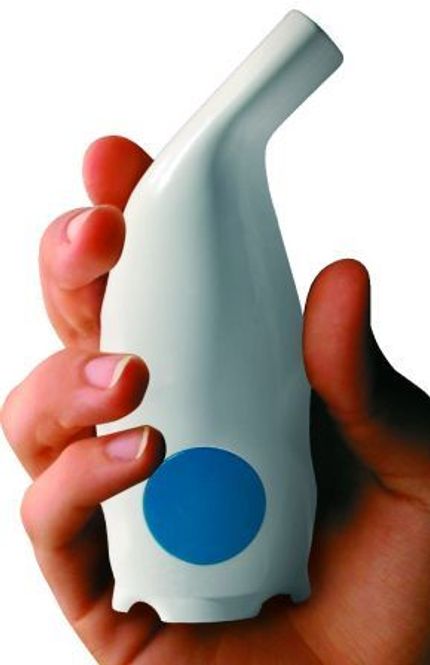 Hovedbilde Saltpipen den originale