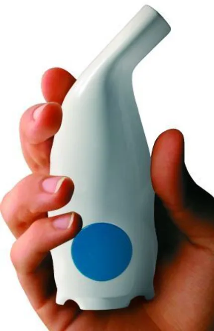 Hovedbilde Saltpipen den originale