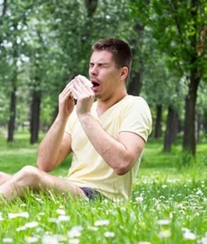 Hovedbilde Anti-allergi