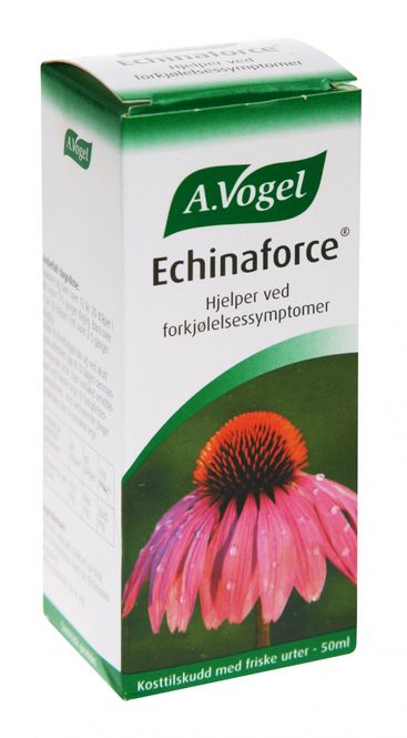 Hovedbilde Echinaforce solhattdråper 50 ml